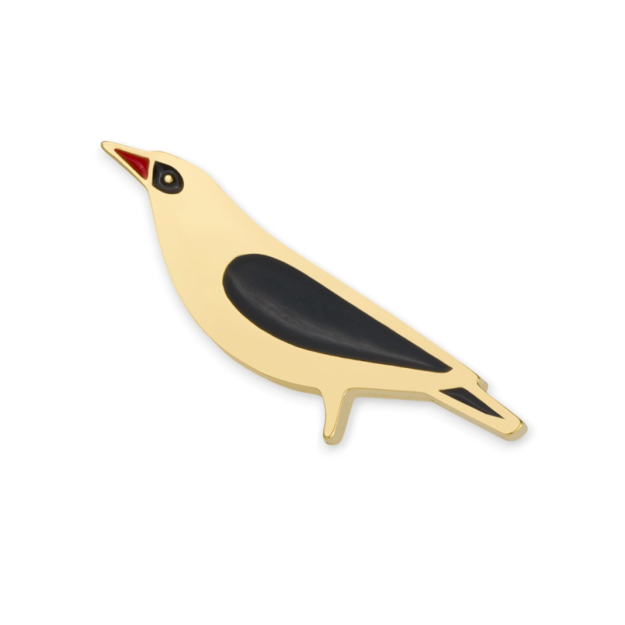 Loriot doré, pin