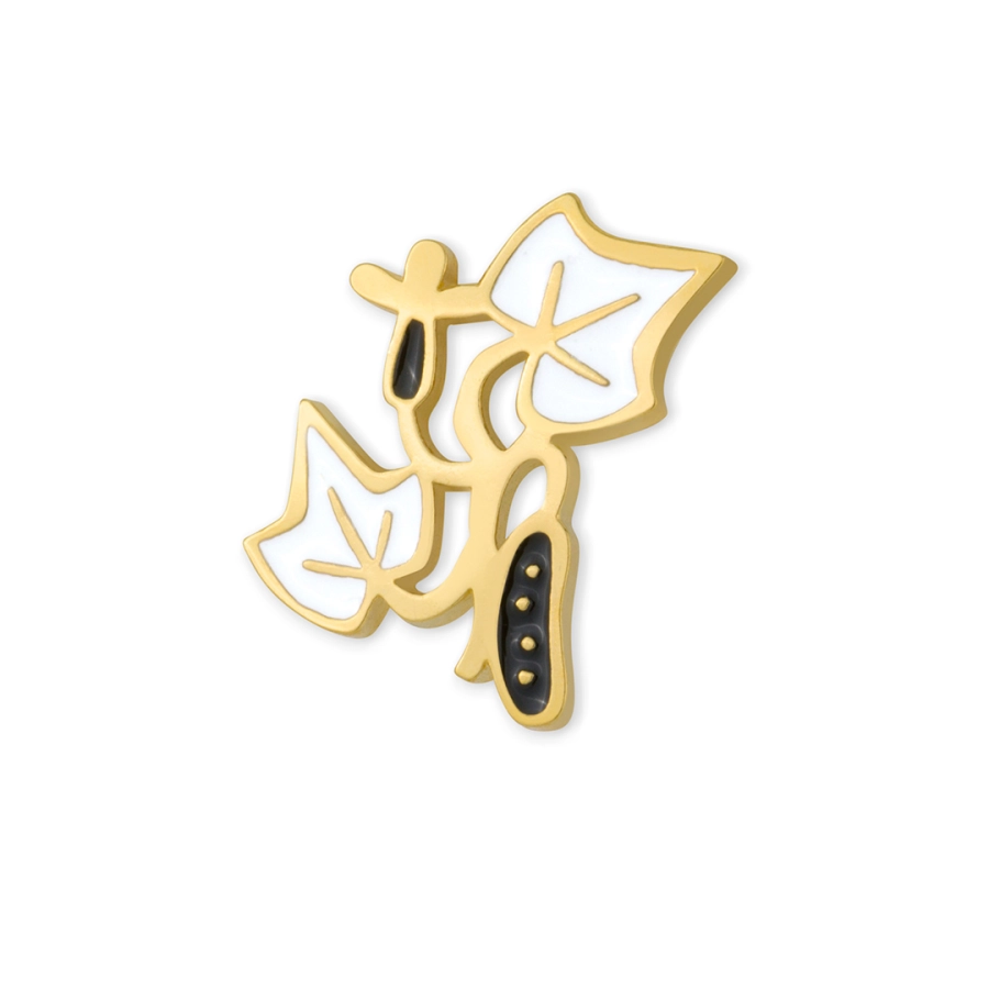 Ogórek, pin