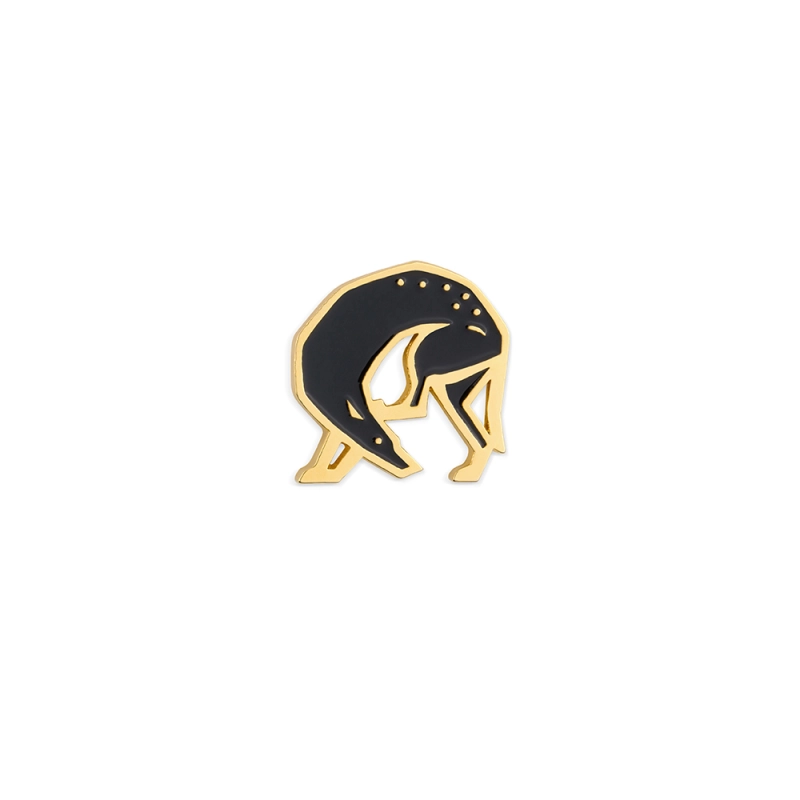 stro_0009_mj_pies_czarny